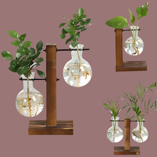 Terrarium Hydroponic Plant Vases