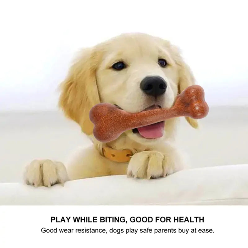 Tough Dog Bone Chew Toys