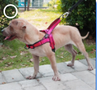 Adjustable Dog Harness