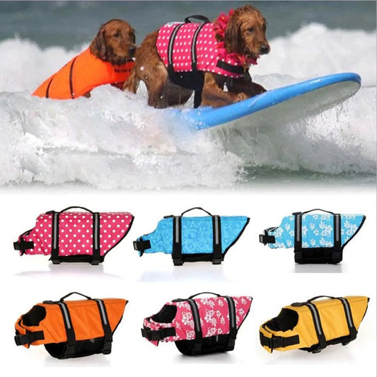 Surprise Your Dog With a Life Vest