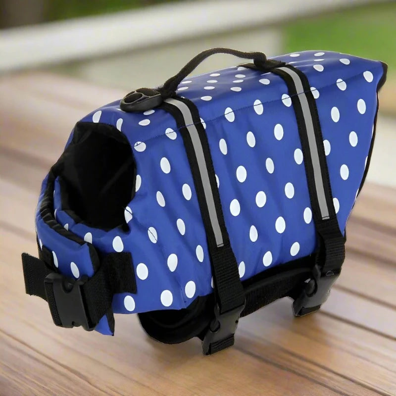 Surprise Your Dog With a Life Vest