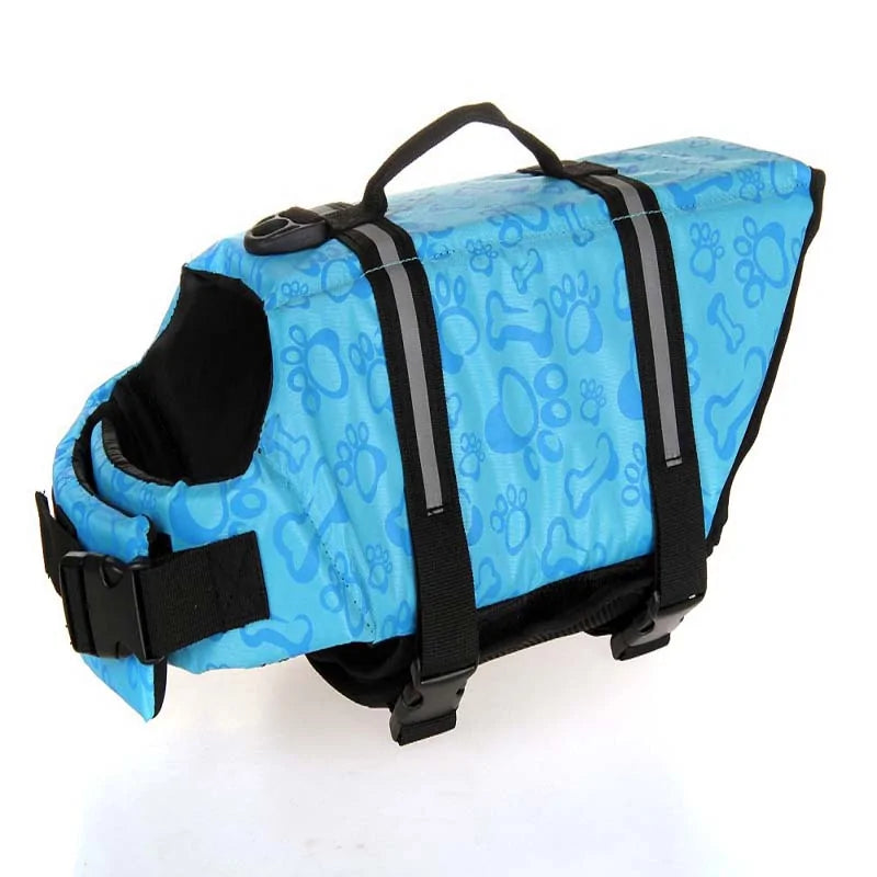 Surprise Your Dog With a Life Vest