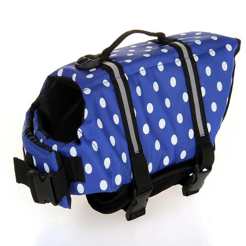 Surprise Your Dog With a Life Vest