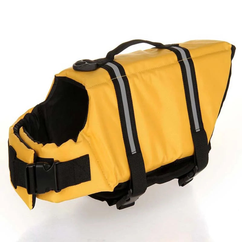 Surprise Your Dog With a Life Vest