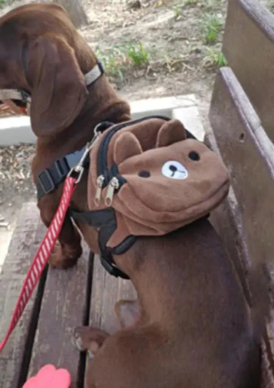 Cute Pet Backpack for your Furry Friends