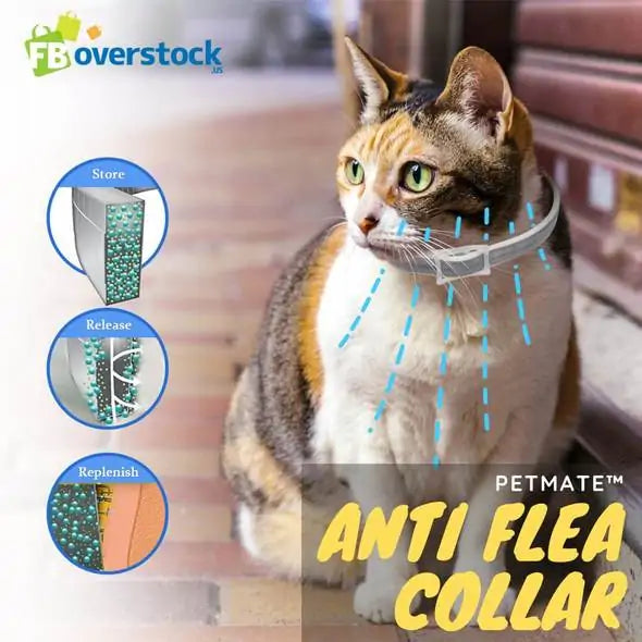 Seresto Anti Flea Collar - Small to Medium Dog